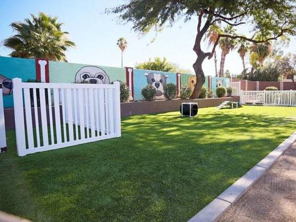 $1,645 / 2br - 1102ft2 - Private Patios/Balconies, Package Service, Tiled Backsplash in Kitchen64024999468929122