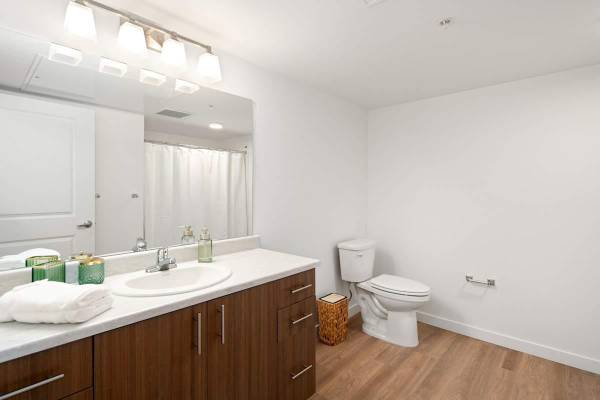 $995 / 1br - 502ft2 - Outdoor Elevated Patio, LVP and Carpeted Flooring, 24/7 Fitness Center63956500735875121
