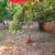 Unit in Duplex available Utilities included. 1300 4 thumbnail