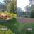 PURE STUMP GRINDING AND TREE SERVICE Clarkston, Lake Orion, Waterford 1 thumbnail