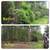 Land Clearing, Tree Services, Wild Fire Prevention, Road Maintenance! 22 thumbnail