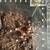 Tarantulas 9 thumbnail