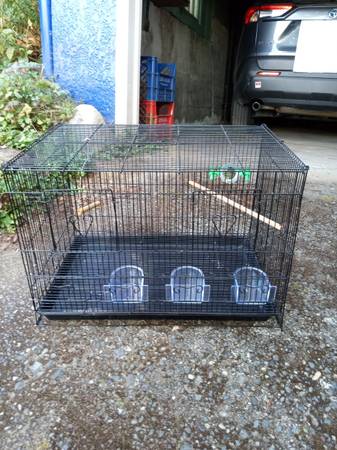 Small bird cage (Bellingam)63613583085827125
