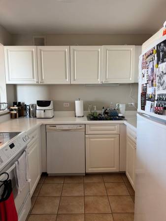 $1,000 / 1br - 700ft2 - Where memories are made (Chicago)63898733463810120