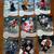 1997 UPPER DECK 3 STAR SELECTS NHL HOCKEY CARD INSERTS-GRETZKY-JAGR- 8 thumbnail