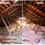Jeffs Attic Clean Up Radiant Barrier Rats in Attic Removal Free Inspec 9 thumbnail