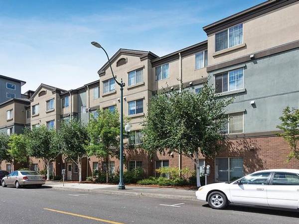 $350 / 1br - 441ft2 - Abundant windows for added light Featured amenity, Electric stove (Olympia)63688514464131122