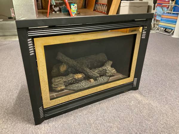 Gas fireplace insert 1