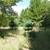 Prime Hunting Property and Cabin 6 thumbnail