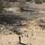 Joshua Tree Secluded 5 Acres, for Camping, Near Park & Mountains 4 thumbnail