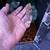 Crested geckos 1 thumbnail