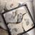 Trilobite Fossil Collection 1 thumbnail