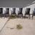 6 Dining Room Chairs 1 thumbnail