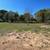 Beautiful 3 acres & Nice Tiny Home 4 thumbnail