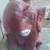 Roll Tide! "Big Al" Concrete Yard Sprinkler/Fountain 4 thumbnail