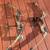 2 Compound Hunting Archery Bows - Browning Spectrum & PSE Nova Camoflouge 1 thumbnail