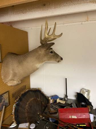 Man cave item 1