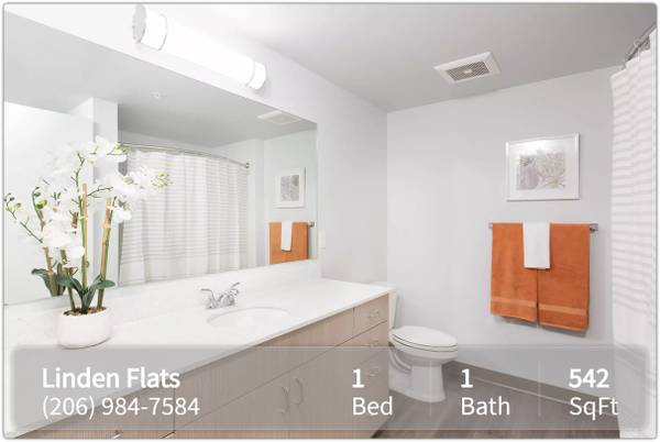 $1,395 / 1br - 542ft2 - The lifestyle you've been dreaming of: Explore our 1 BR. (Seattle)63852483639425121