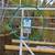 Boat lift shore station 1 thumbnail