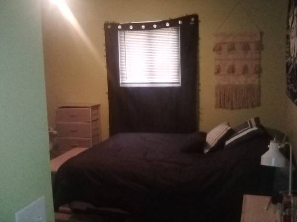 $270 / 3br - 1300ft2 - $270 a week for a shared house (South Nashville)63924810029570122