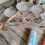 chair shovel garden tools rake tripod fencing leaf blower radio 5 thumbnail