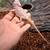 Bearded Dragons . 7 thumbnail