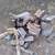 FIREWOOD FOR SALE 2 thumbnail