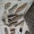 Ancient artifacts 13 thumbnail