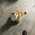 affectionate orange male tabby rehome 5 thumbnail