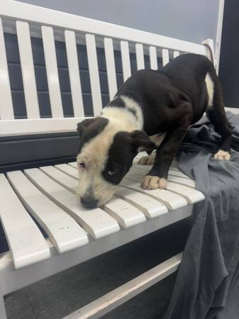 Objetos perdidos y encontrados (Mt Vernon IL)63688376313347120