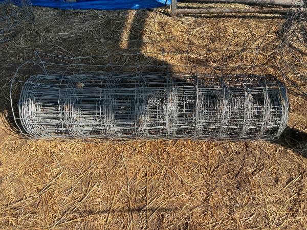Field fence 1