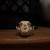Ethically Sourced Domestic Cat Skull 2 thumbnail