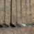7 Golf Clubs! Clean and ready to go!! 1 thumbnail
