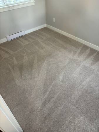 Professional Carpet Cleaning! Stain &  Odor Removal! 3 Rooms & 1 Hallway $209! 1