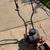 Gas powered edger 2 thumbnail