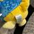 Pokémon Plushies Umbreon, Psyduck Build A Bear & Eevee Bulbasaur 4 thumbnail