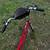 1989–1991 RANS Stratus Recumbent Bicycle 20 thumbnail