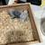 Baby lovebirds rehoming 1 thumbnail