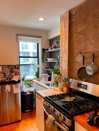 $2,260 / 1br - Rent Stabilized 1 BR, w/ high ceilings near the park & B & Q Trains (Prospect Lefferts Garden)63684728396675121