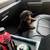 Purebred rottwiler pups 2 thumbnail