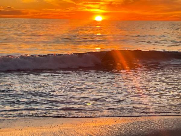 Women's Full Suit Excell 1