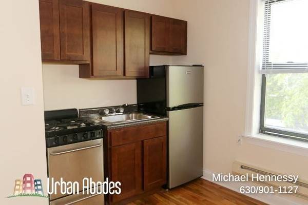 $1,395 / 500ft2 - Amazing Studio, 1 Bath in Ravenswood, Available: 11/1/2025 (Ravenswood)63898985758467122