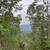 Tree work and landscaping 6 thumbnail