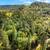 2+ acres with all usable terrain! 9 thumbnail