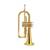 Brand New! Brass Instruments from $55.00 8 thumbnail
