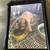 Mini lop bunny 2 thumbnail
