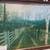 PRINT - BIRCH PATH BY GERRY VON TRIER 1 thumbnail