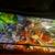 Ball python snake 40 gallon tank 1 thumbnail