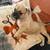 Puppies 10 thumbnail