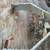 Cub Cadet 1A Tiller With Right Hand Tine Extension 7 thumbnail